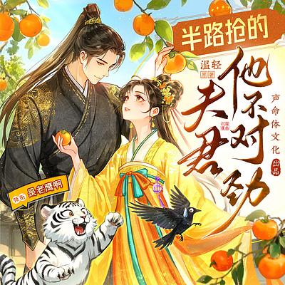 半路抢的夫君他不对劲有声小说