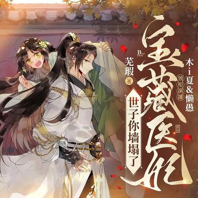 宝藏医妃：世子你墙塌了