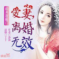 前夫夜敲门:爱妻,离婚无效有声小说
