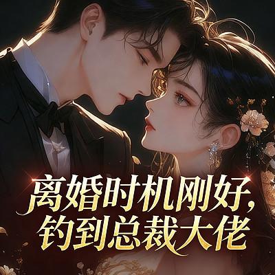 离婚时机刚好，钓到总裁大佬有声小说
