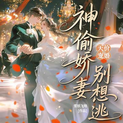 天价宠婚：神偷娇妻别想逃有声小说