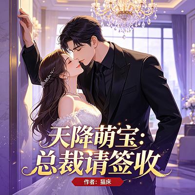 天降萌宝：总裁请签收有声小说