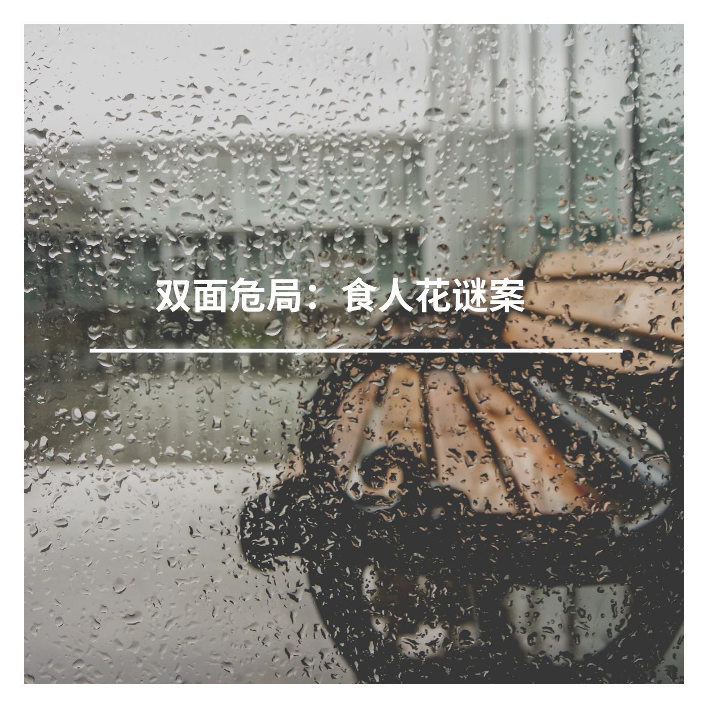 双面危局：食人花谜案有声小说