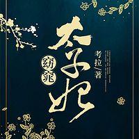 窈窕太子妃有声小说