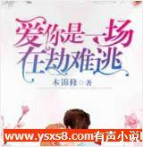 爱你是一场在劫难逃有声小说
