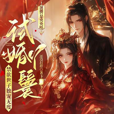 试婚丫鬟，禁欲世子独宠无度有声小说