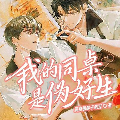 我的同桌是伪好生有声小说