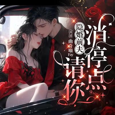 隐婚前夫，请你消停点有声小说