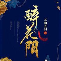 醉花阴有声小说