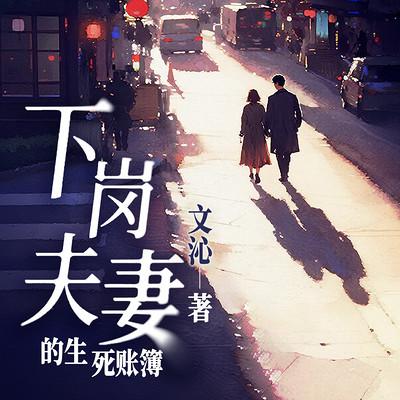 下岗夫妻的生死账簿有声小说
