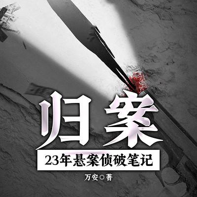 归案:23年悬案侦破笔记有声小说