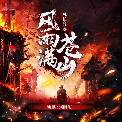 风雨满苍山有声小说