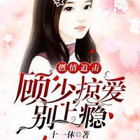 燃情追击：顾少掠爱别上瘾有声小说
