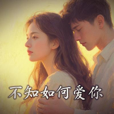 不知如何爱你有声小说