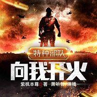 特种部队:向我开火有声小说