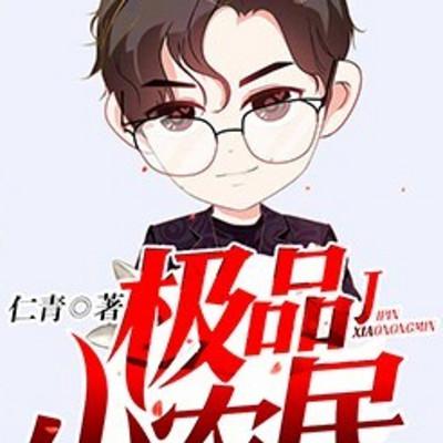 极品小农民有声小说