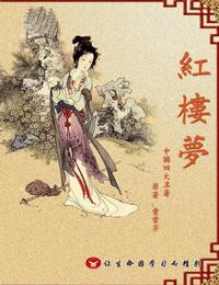 红楼梦有声小说