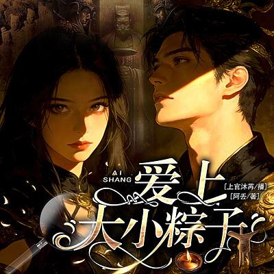 爱上大小粽子有声小说