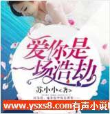 爱你是一场浩劫有声小说