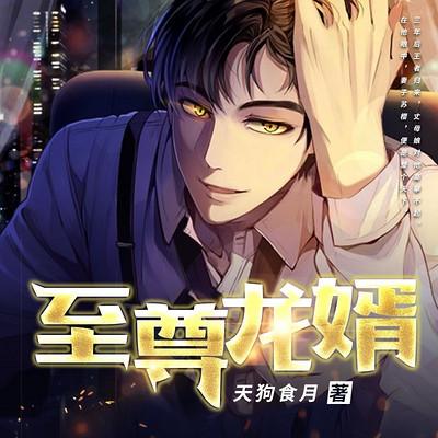 至尊龙婿有声小说
