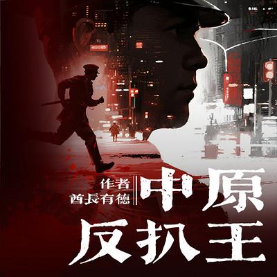 中原反扒王有声小说