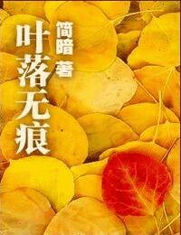 叶落无痕有声小说