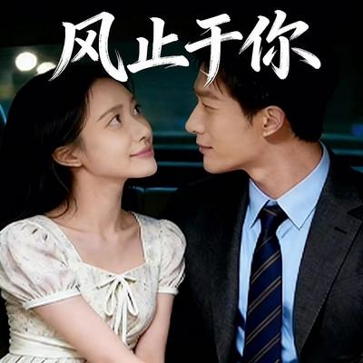 风止于你有声小说