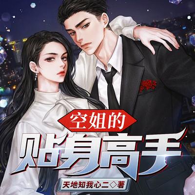 空姐的贴身高手有声小说