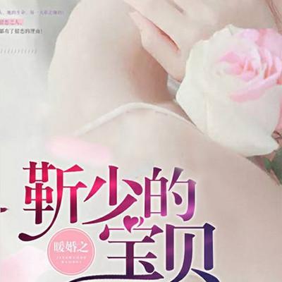 暖婚之靳少的宝贝有声小说