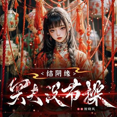 结阴缘：冥夫没节操有声小说