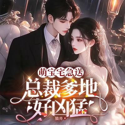 萌宝宅急送：总裁爹地好凶猛有声小说