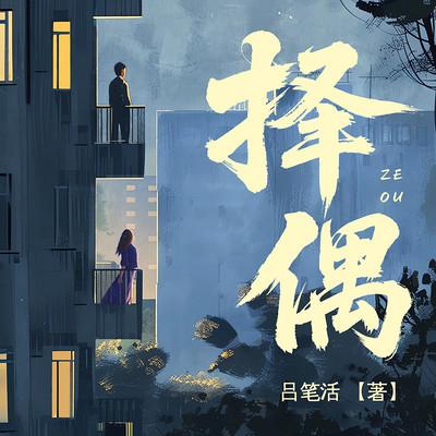 择偶有声小说