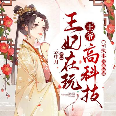 王爷,王妃在玩高科技有声小说