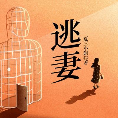 逃妻有声小说