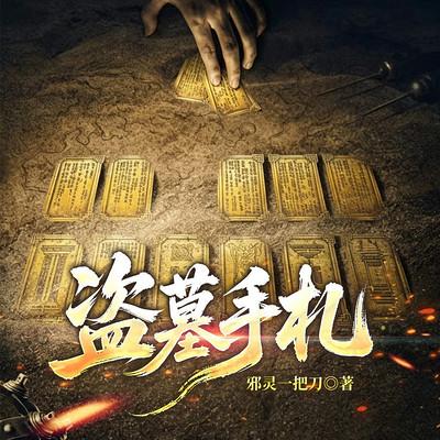 盗墓手札有声小说
