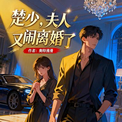 楚少，夫人又闹离婚了有声小说