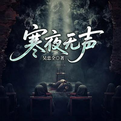 寒夜无声有声小说