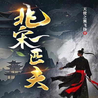北宋一匹夫有声小说