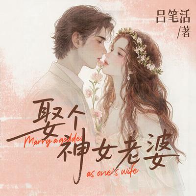 娶个神女老婆有声小说