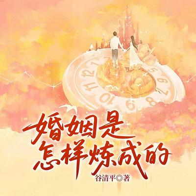 婚姻是怎样炼成的有声小说