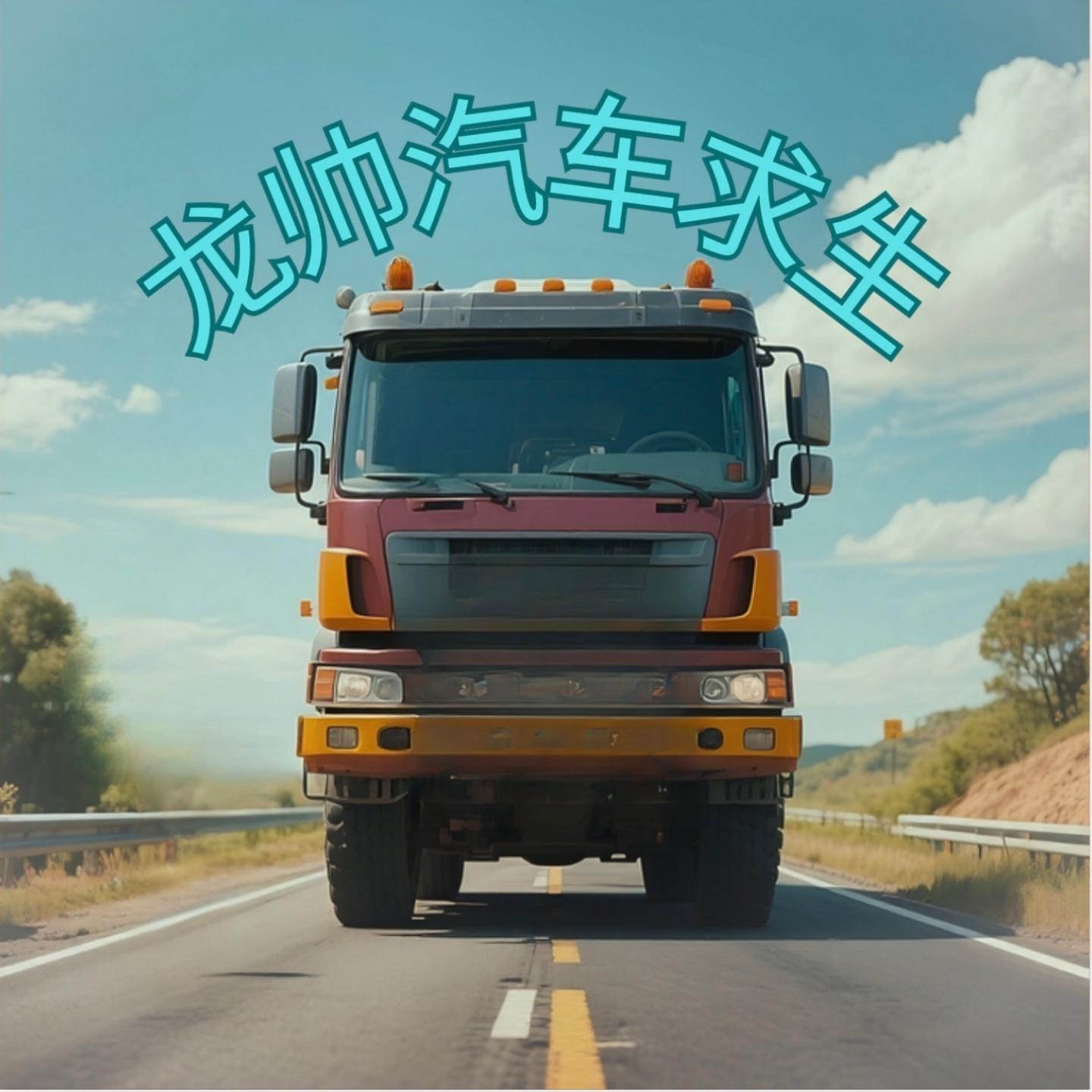 龙帅汽车求生有声小说