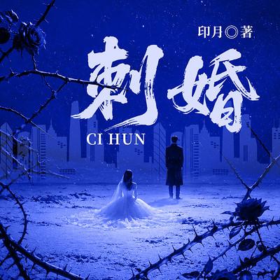 刺婚有声小说