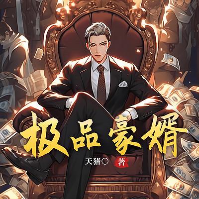 极品豪婿有声小说