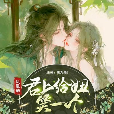 凤凰劫，君上给妞笑一个有声小说
