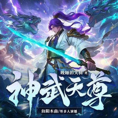 神武天尊有声小说