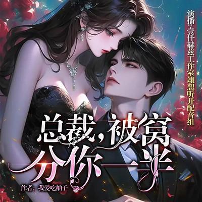 总裁，被窝分你一半有声小说