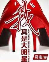 我真是大明星有声小说