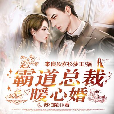 霸道总裁暖心婚有声小说