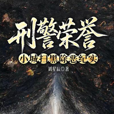 刑警荣誉：小城扫黑除恶纪实有声小说