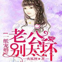 一纸宠婚：老公，别太坏有声小说
